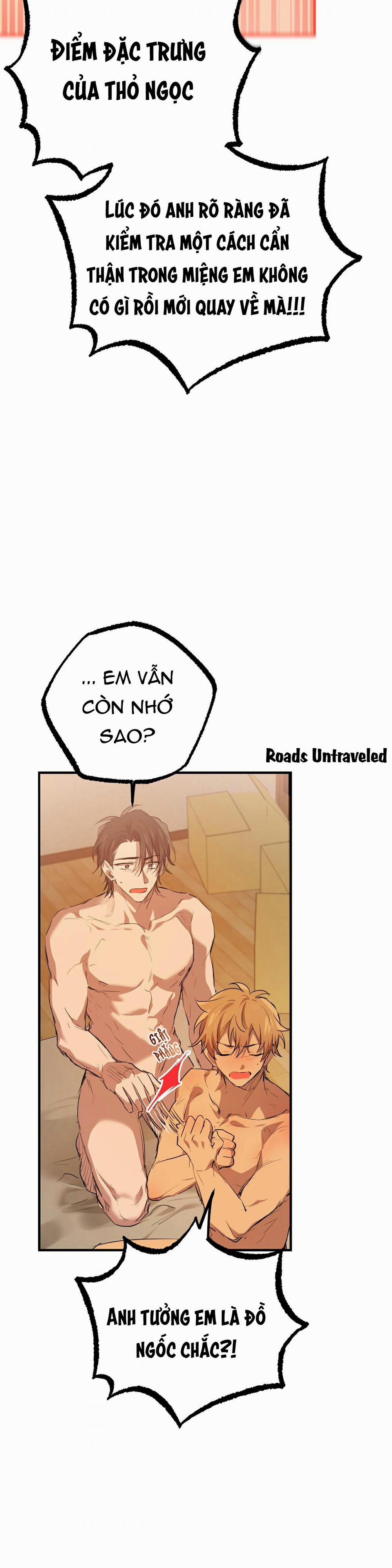 Những Chú Thỏ Của Habibi 26 trang 19