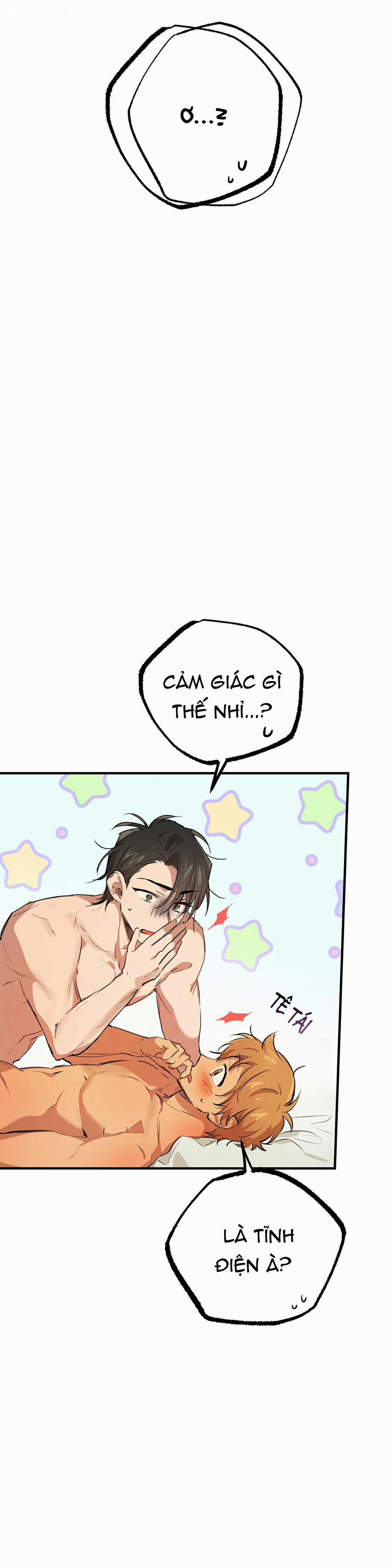 Những Chú Thỏ Của Habibi 26 trang 2