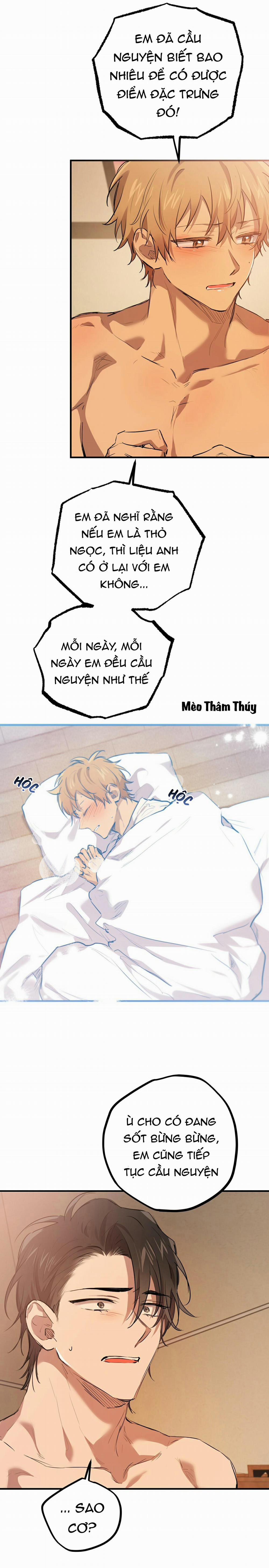 Những Chú Thỏ Của Habibi 26 trang 20