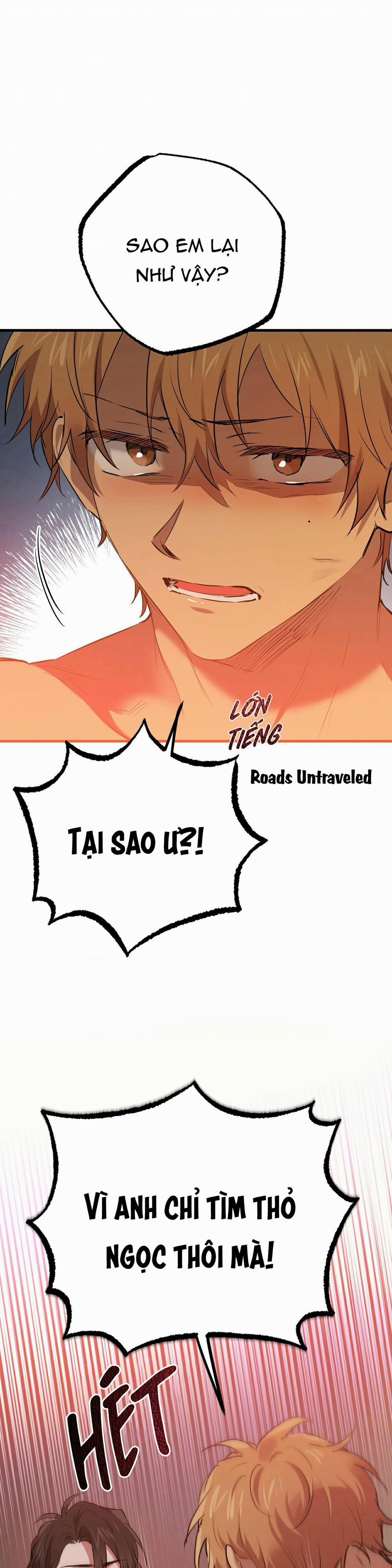 Những Chú Thỏ Của Habibi 26 trang 21