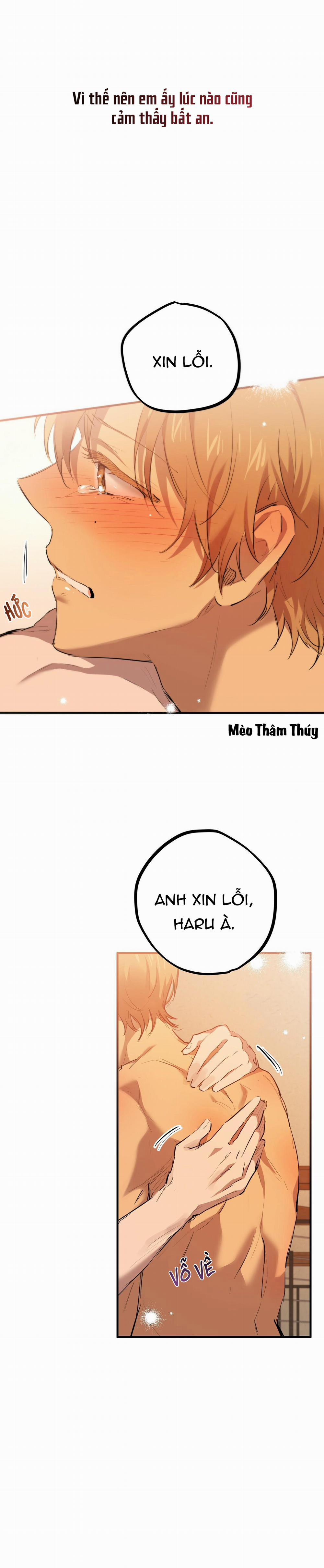 Những Chú Thỏ Của Habibi 26 trang 24