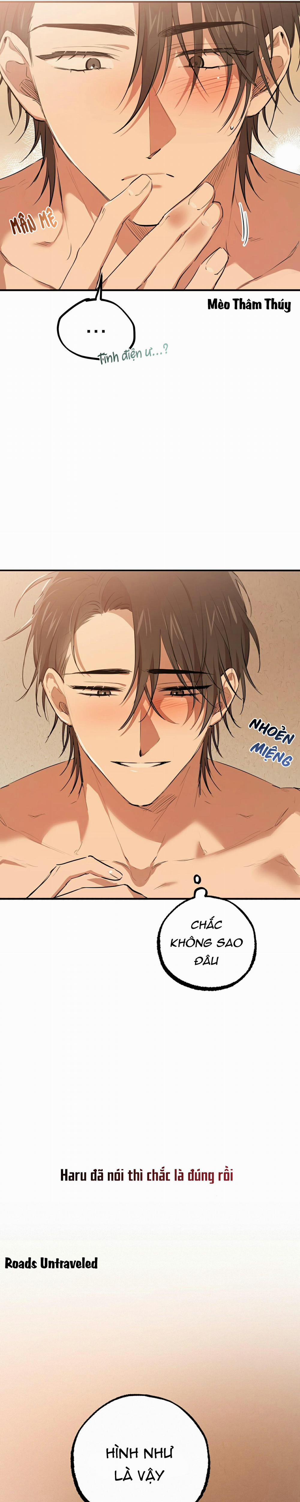 Những Chú Thỏ Của Habibi 26 trang 3