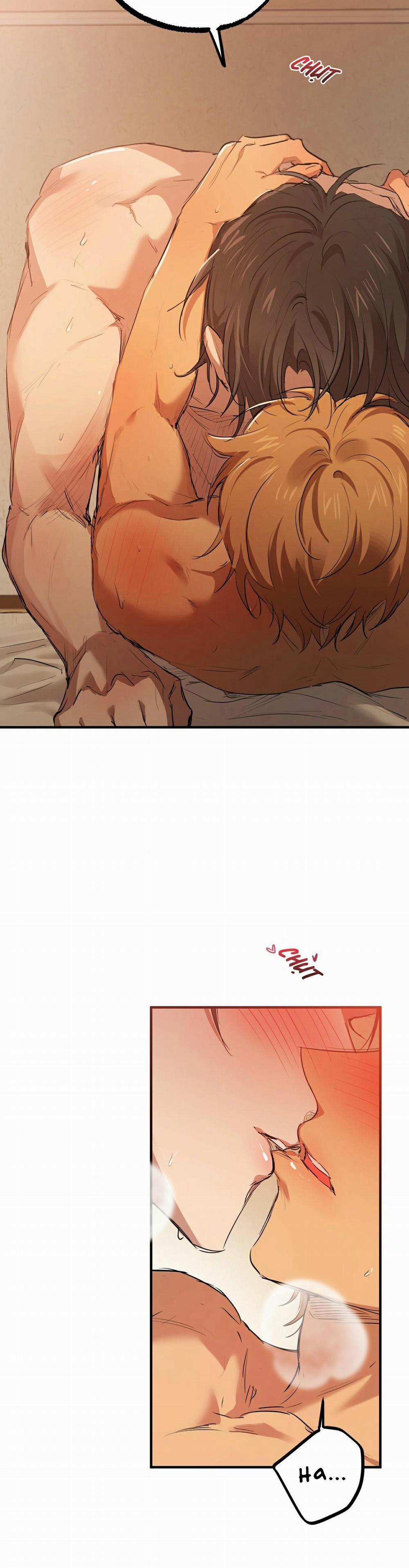 Những Chú Thỏ Của Habibi 26 trang 4