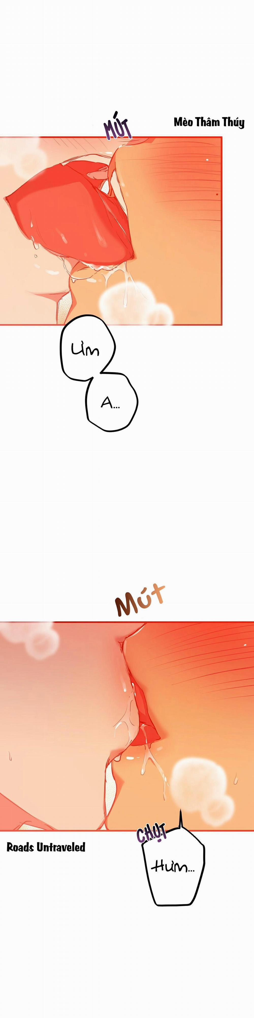 Những Chú Thỏ Của Habibi 26 trang 5