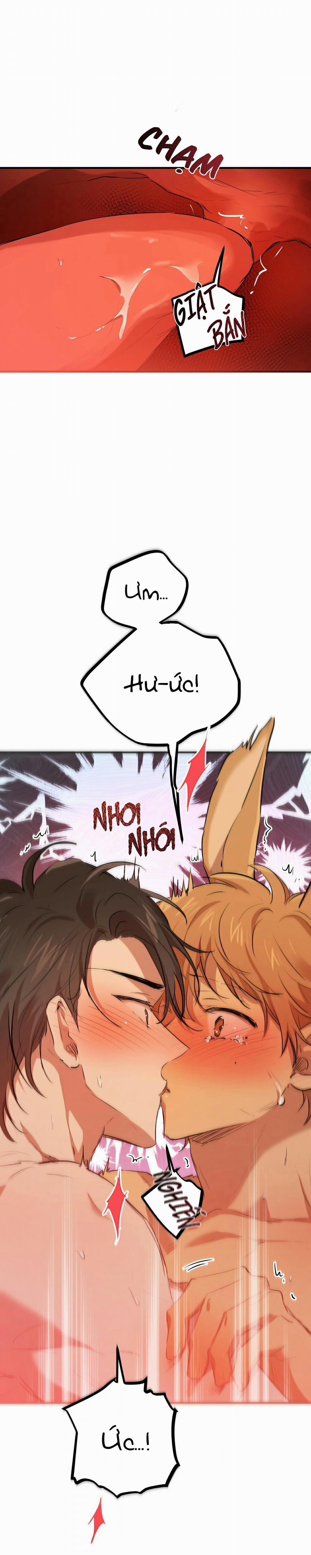 Những Chú Thỏ Của Habibi 26 trang 6