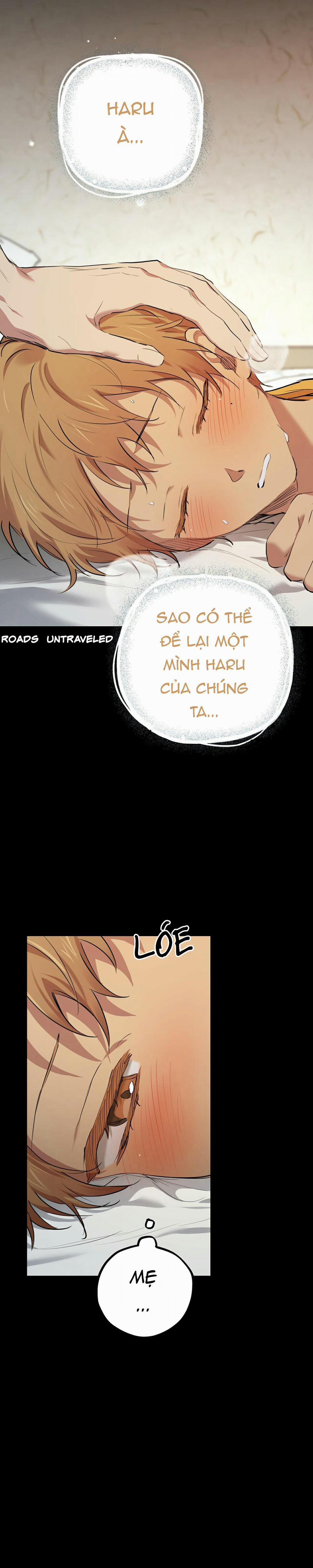 Những Chú Thỏ Của Habibi 27 trang 11