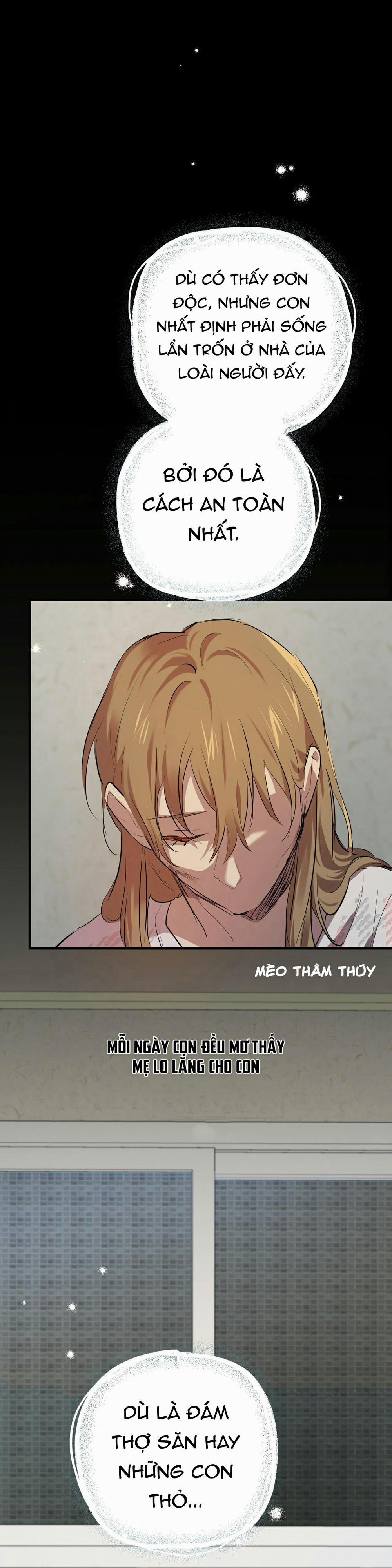 Những Chú Thỏ Của Habibi 27 trang 12