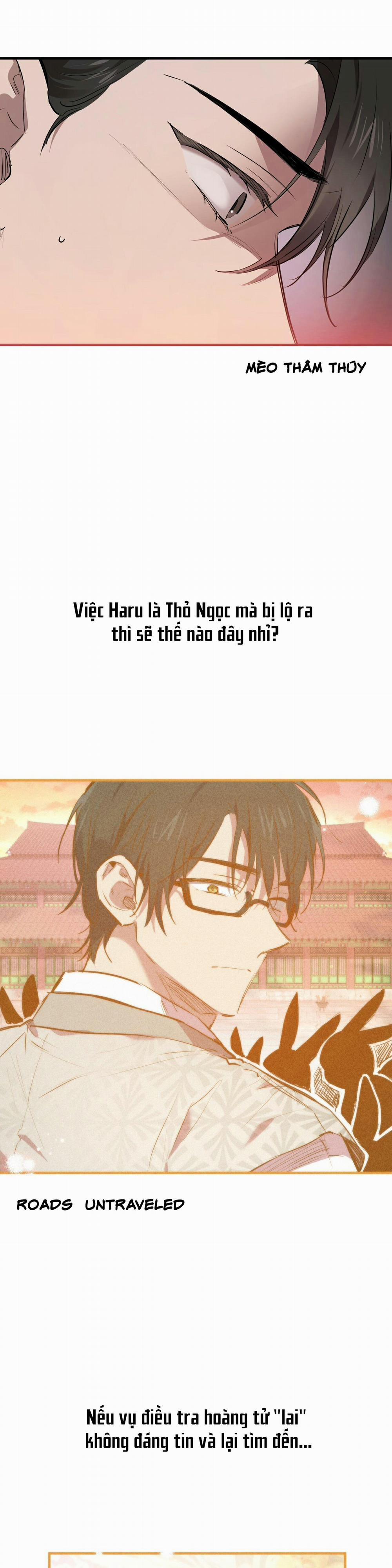 Những Chú Thỏ Của Habibi 27 trang 17