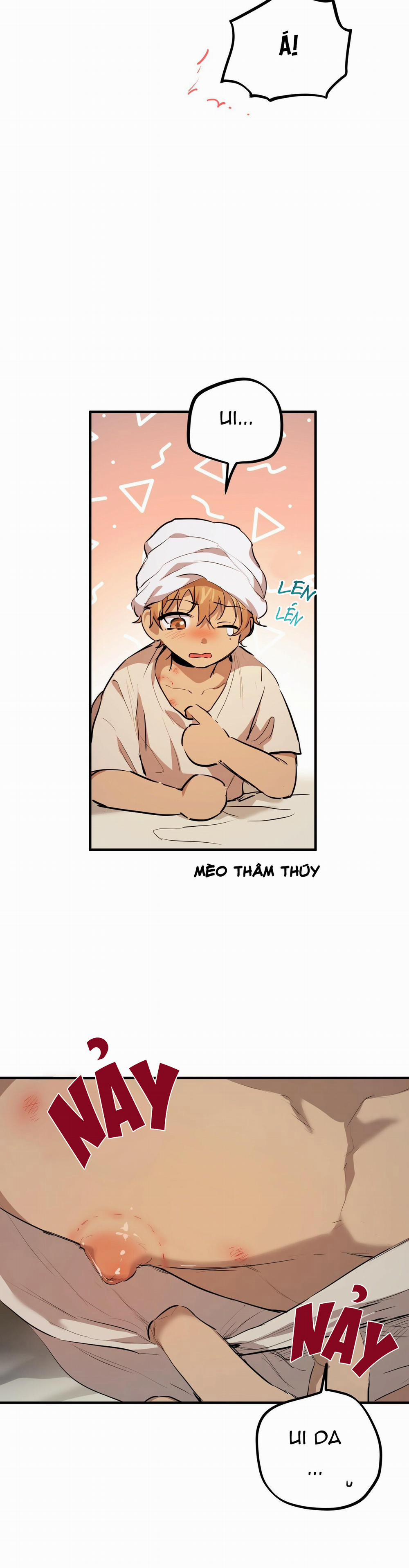 Những Chú Thỏ Của Habibi 27 trang 27