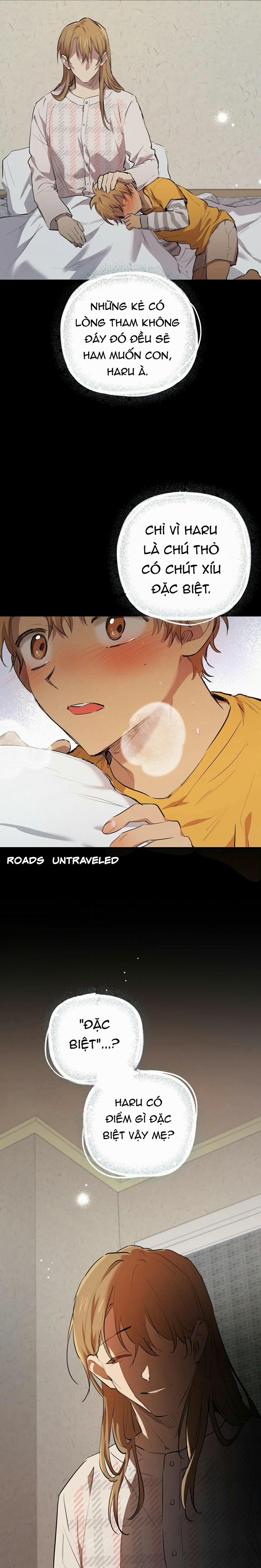 Những Chú Thỏ Của Habibi 28 trang 13