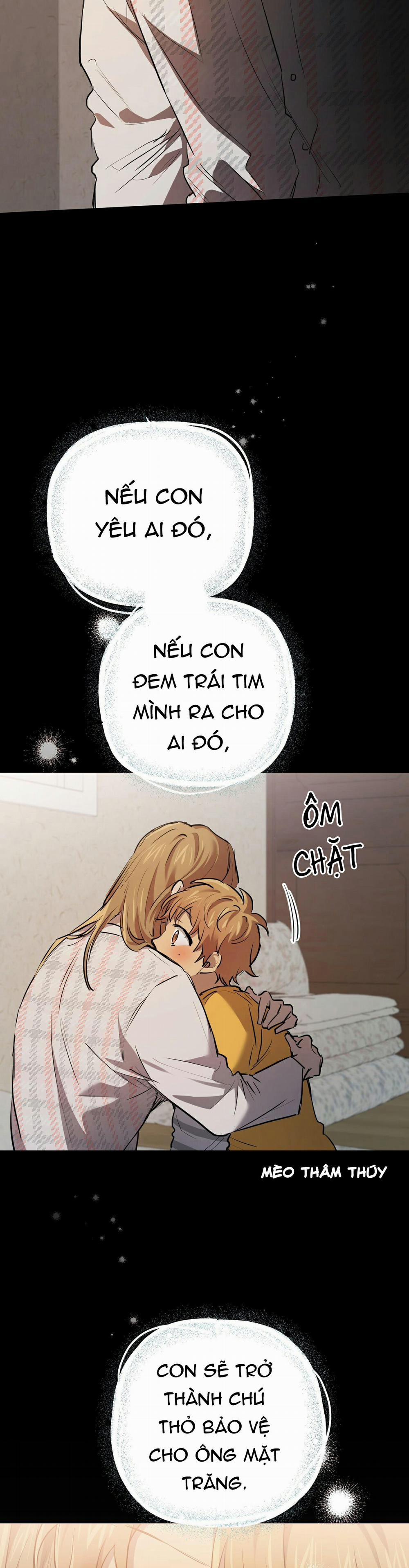 Những Chú Thỏ Của Habibi 28 trang 14