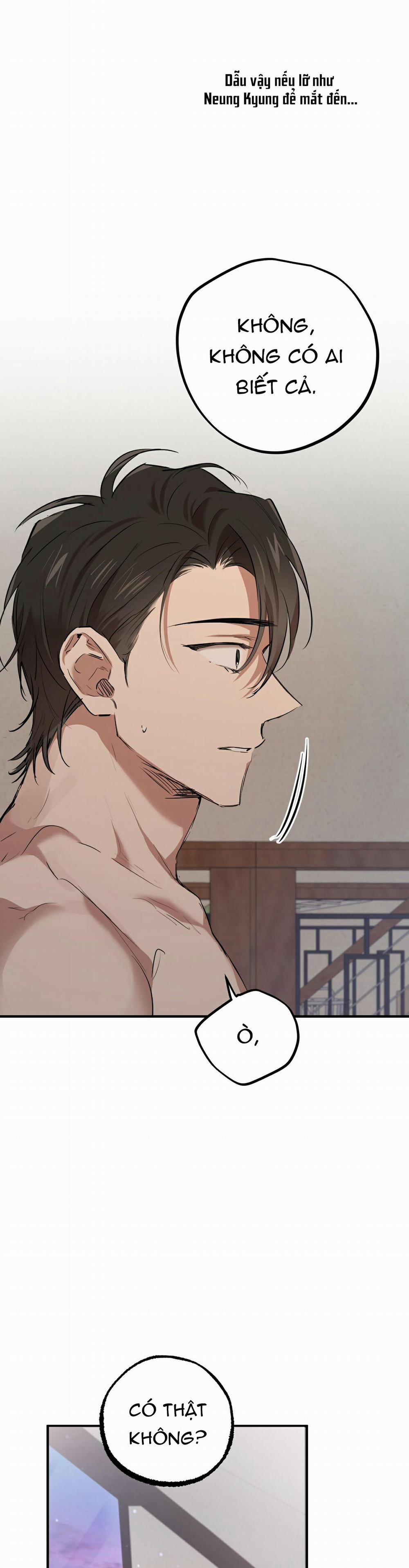 Những Chú Thỏ Của Habibi 28 trang 19