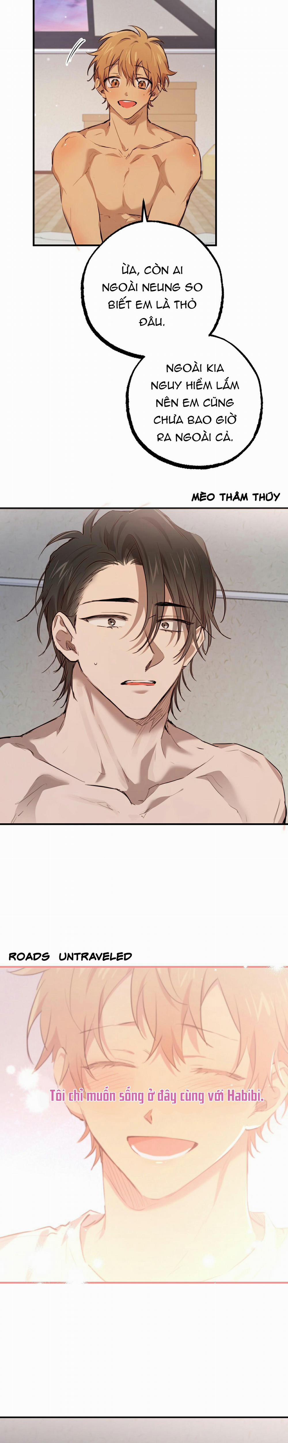 Những Chú Thỏ Của Habibi 28 trang 20