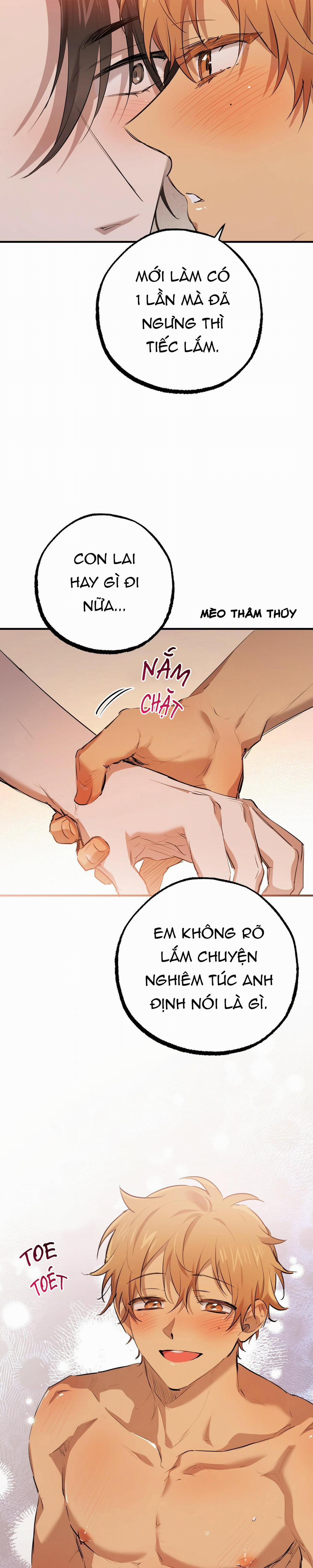 Những Chú Thỏ Của Habibi 28 trang 25