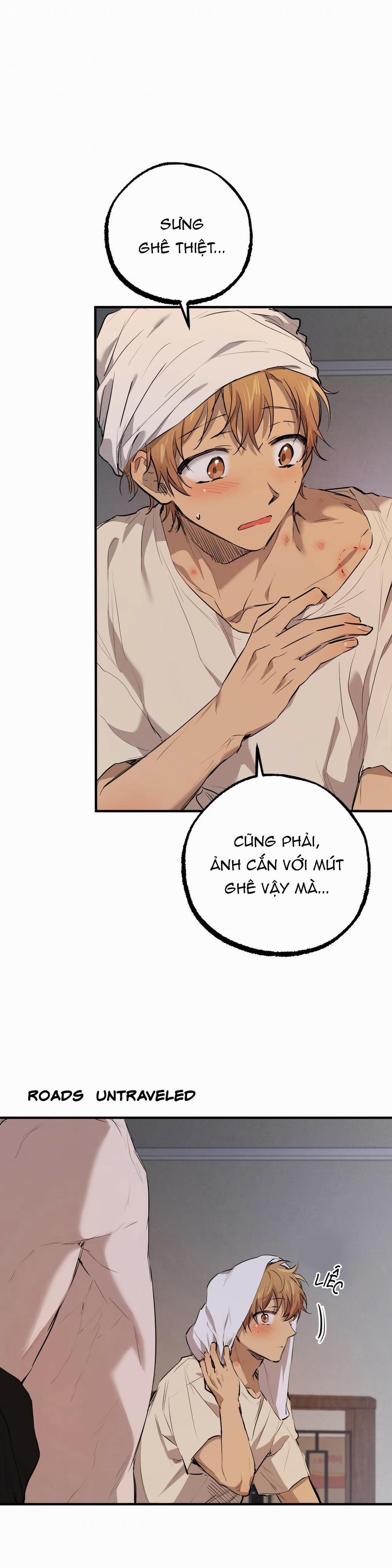 Những Chú Thỏ Của Habibi 28 trang 29