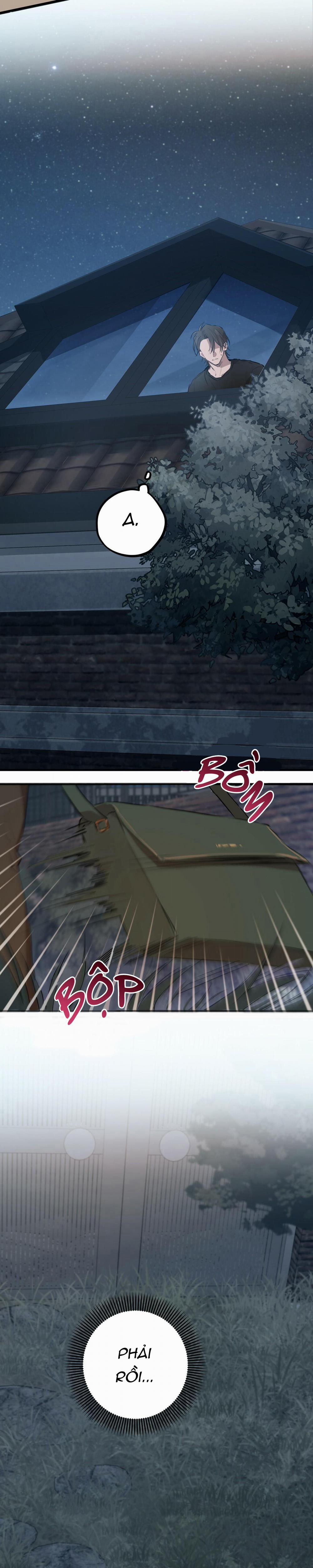 Những Chú Thỏ Của Habibi 28 trang 34