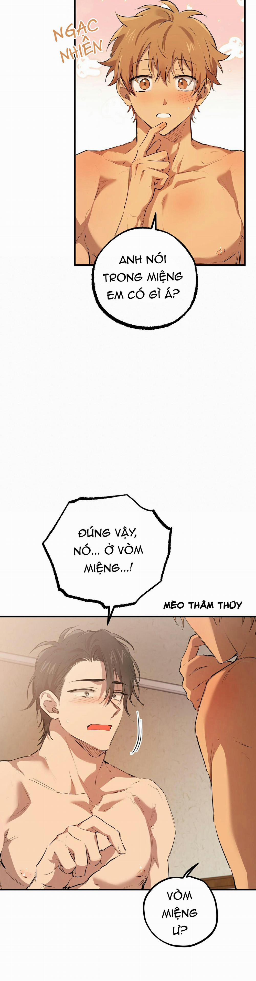 Những Chú Thỏ Của Habibi 28 trang 4