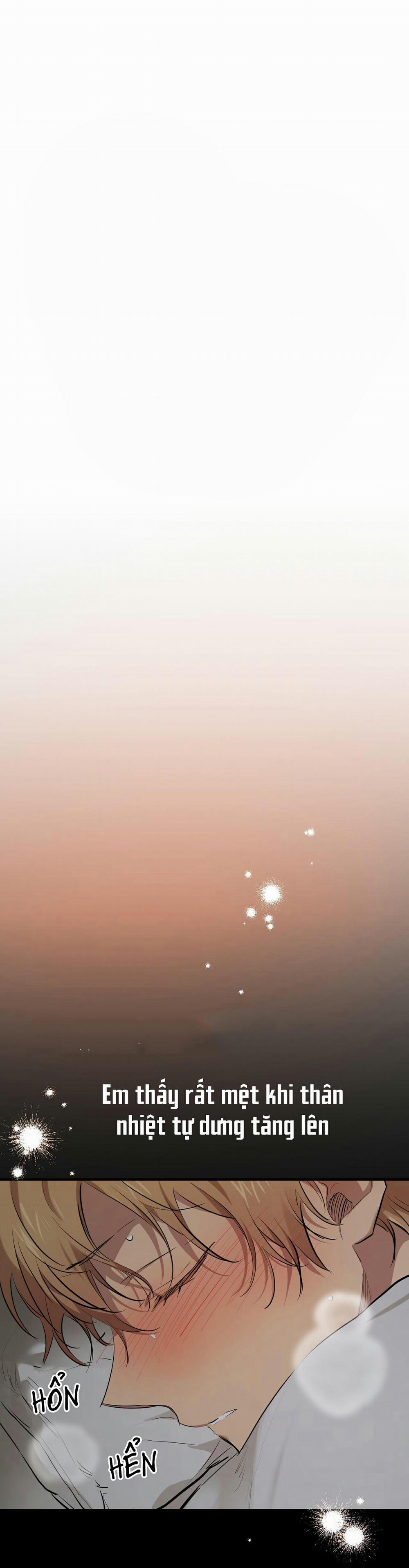 Những Chú Thỏ Của Habibi 28 trang 9