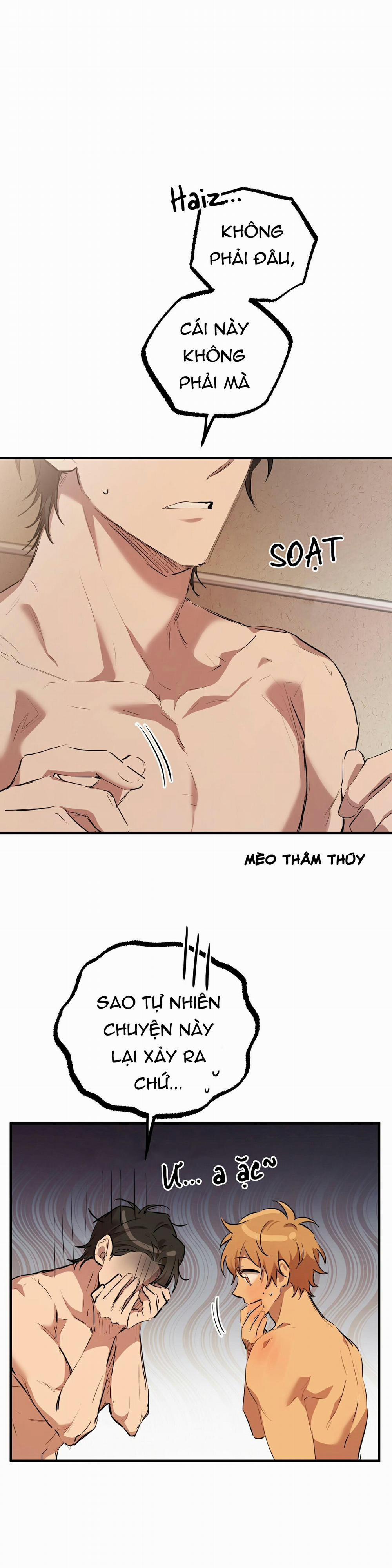 Những Chú Thỏ Của Habibi 29 trang 0