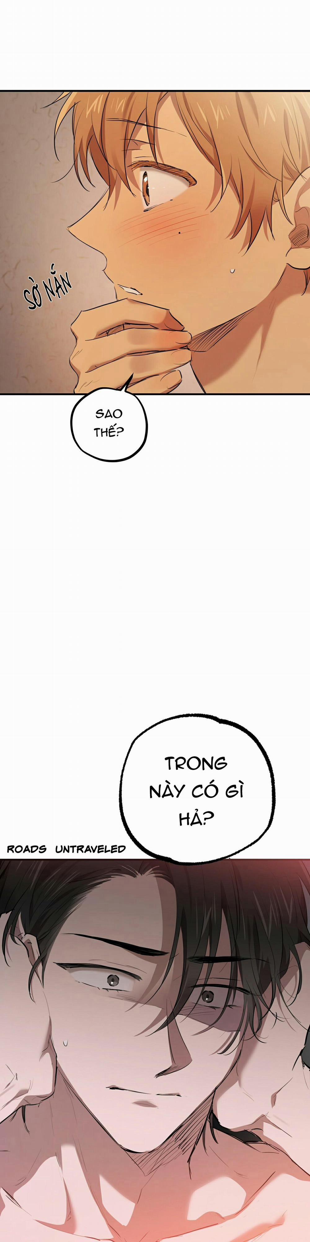 Những Chú Thỏ Của Habibi 29 trang 2