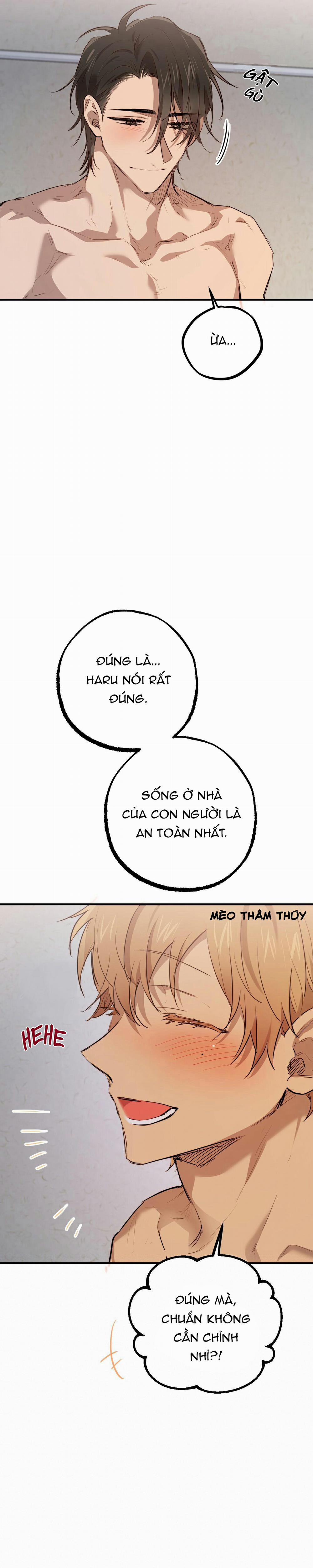 Những Chú Thỏ Của Habibi 29 trang 21