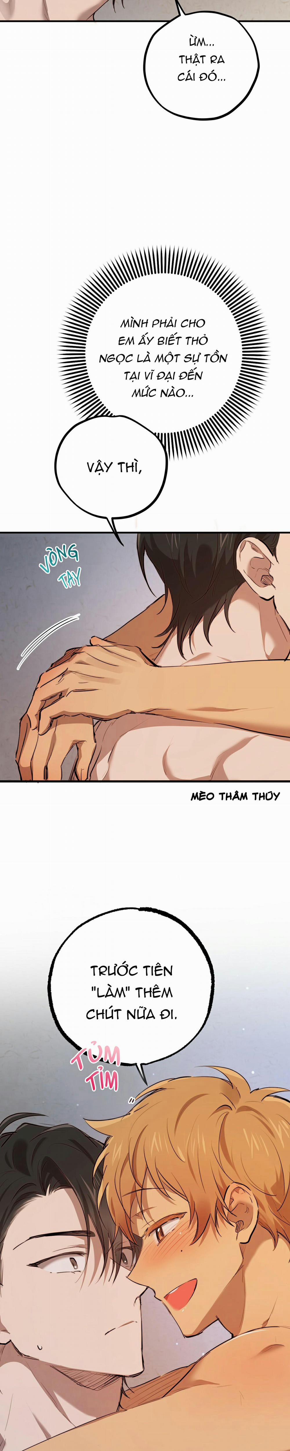 Những Chú Thỏ Của Habibi 29 trang 23