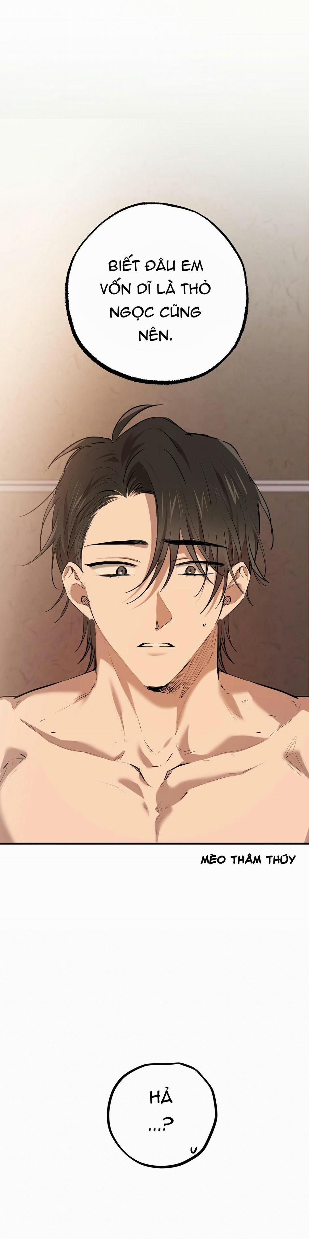 Những Chú Thỏ Của Habibi 29 trang 8