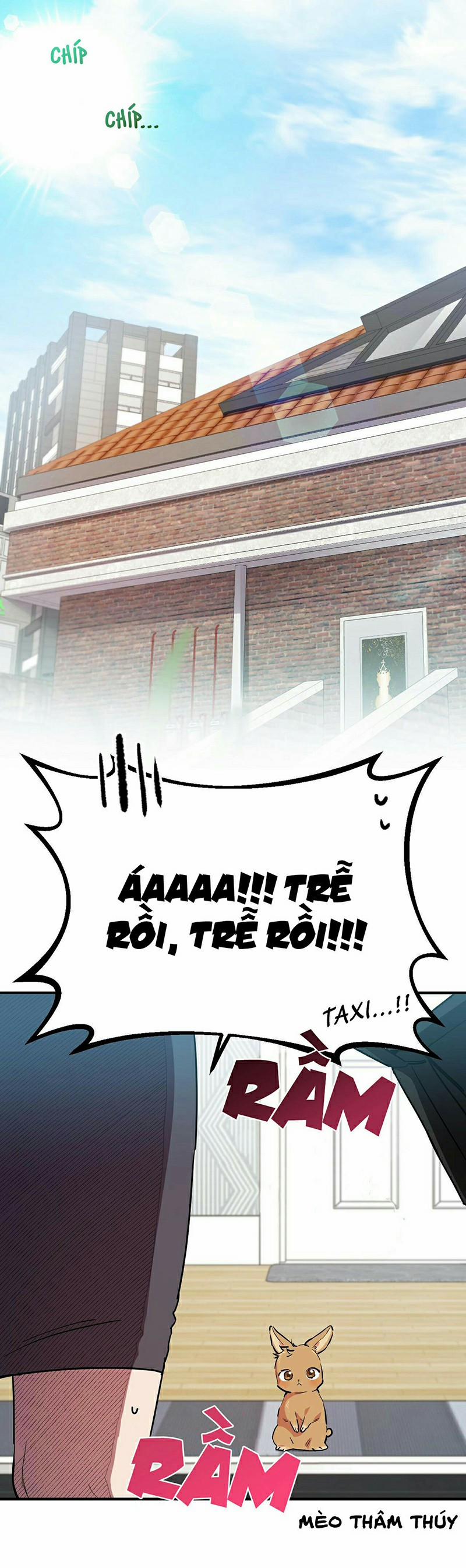 Những Chú Thỏ Của Habibi 3 trang 1