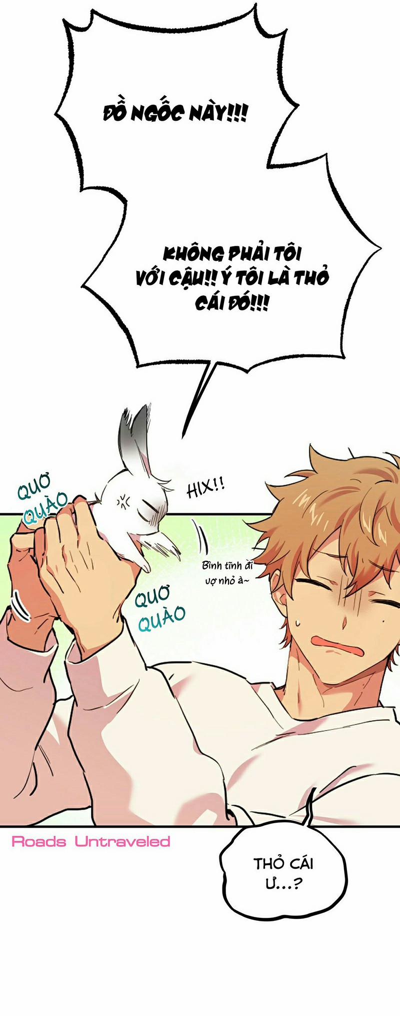 Những Chú Thỏ Của Habibi 3 trang 13