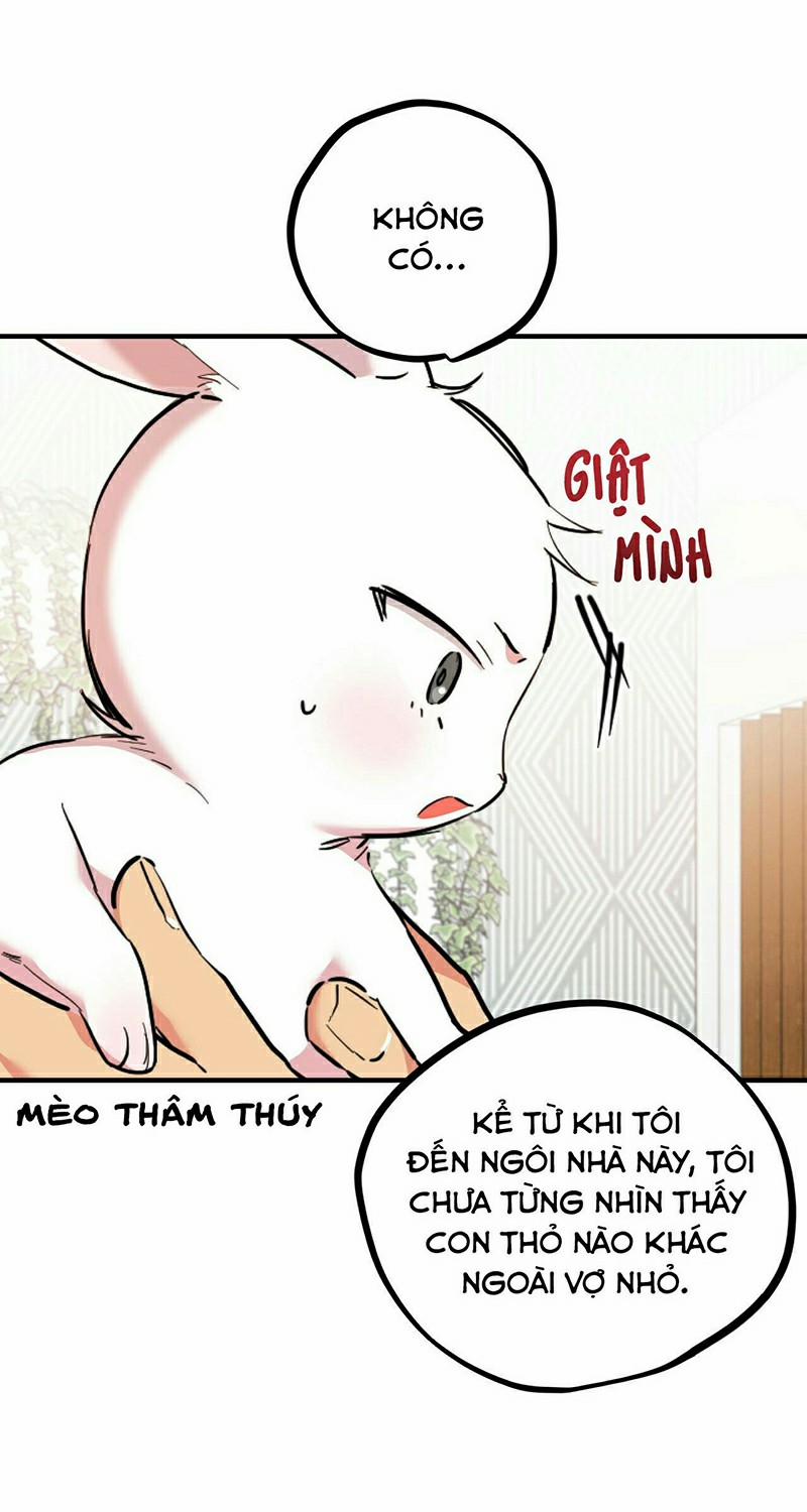 Những Chú Thỏ Của Habibi 3 trang 14
