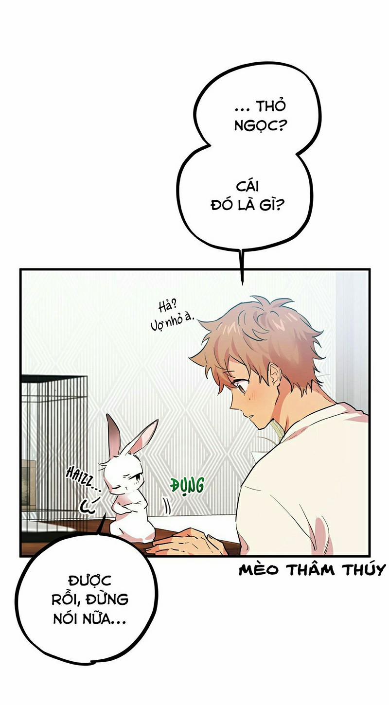 Những Chú Thỏ Của Habibi 3 trang 17