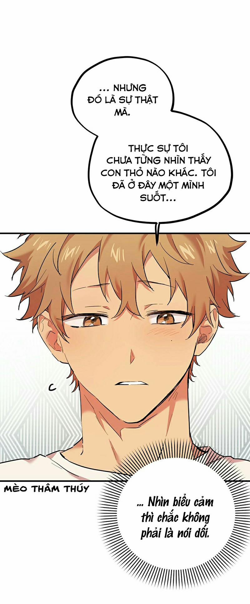 Những Chú Thỏ Của Habibi 3 trang 18