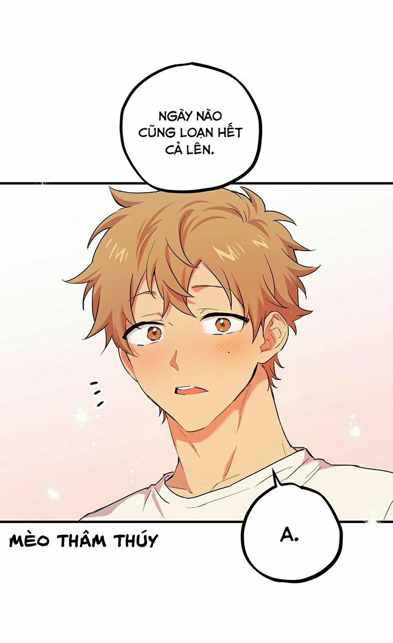 Những Chú Thỏ Của Habibi 3 trang 2