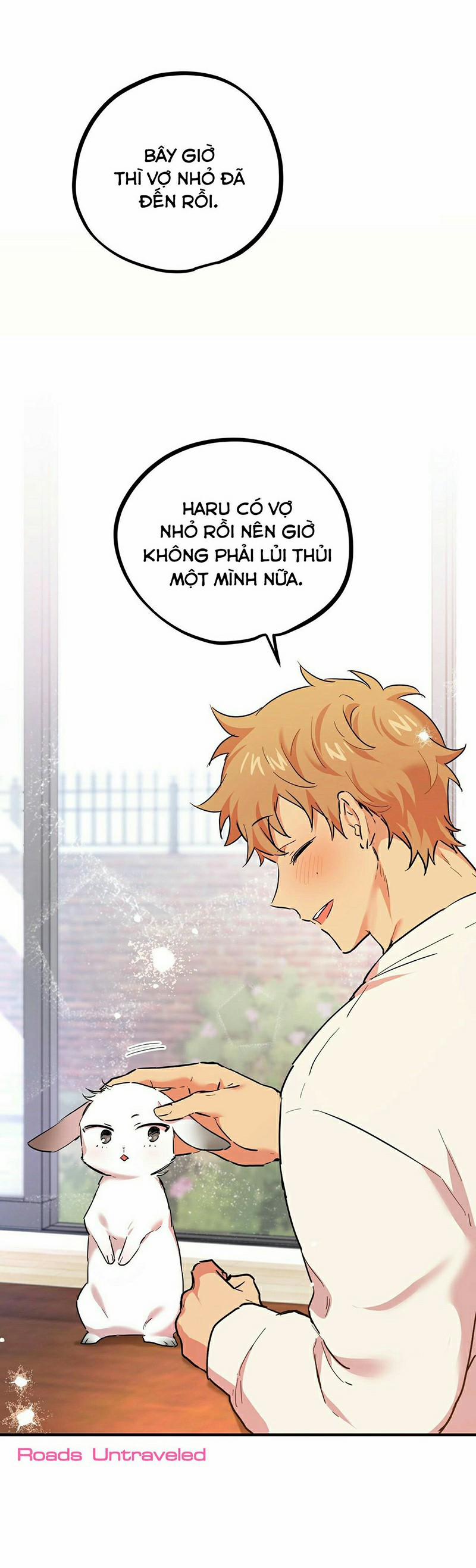 Những Chú Thỏ Của Habibi 3 trang 20