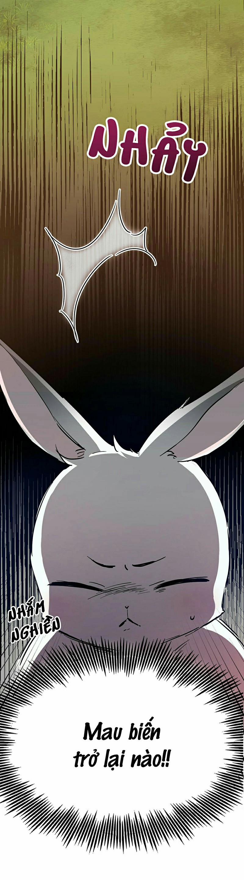 Những Chú Thỏ Của Habibi 3 trang 24