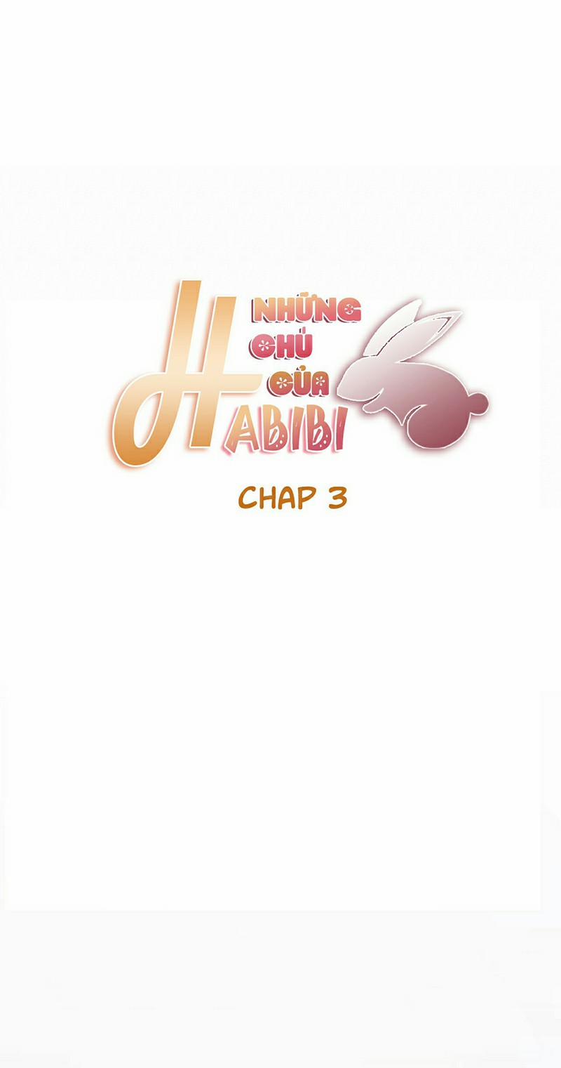 Những Chú Thỏ Của Habibi 3 trang 29