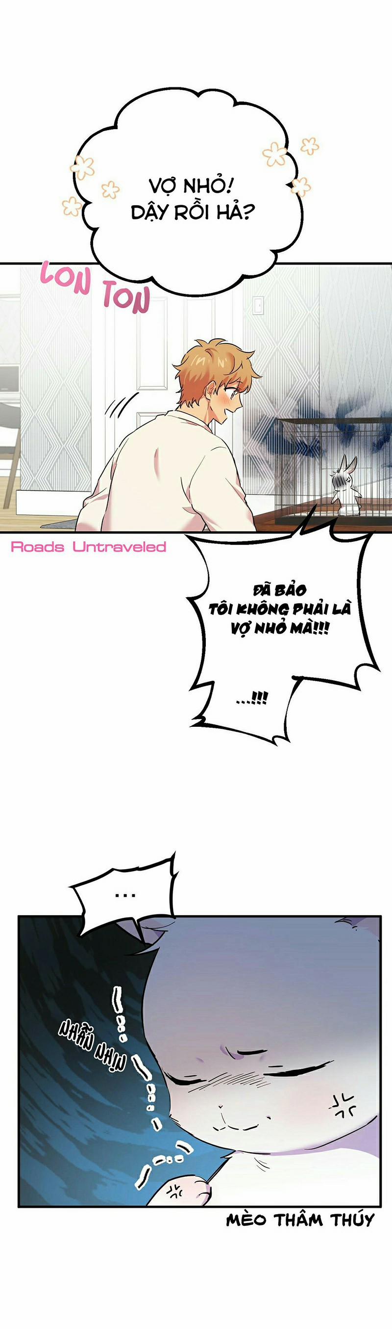 Những Chú Thỏ Của Habibi 3 trang 3