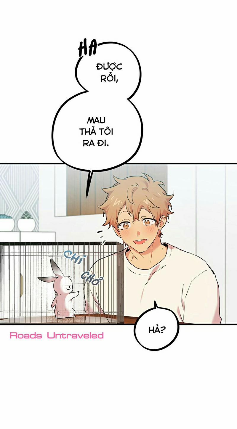 Những Chú Thỏ Của Habibi 3 trang 4