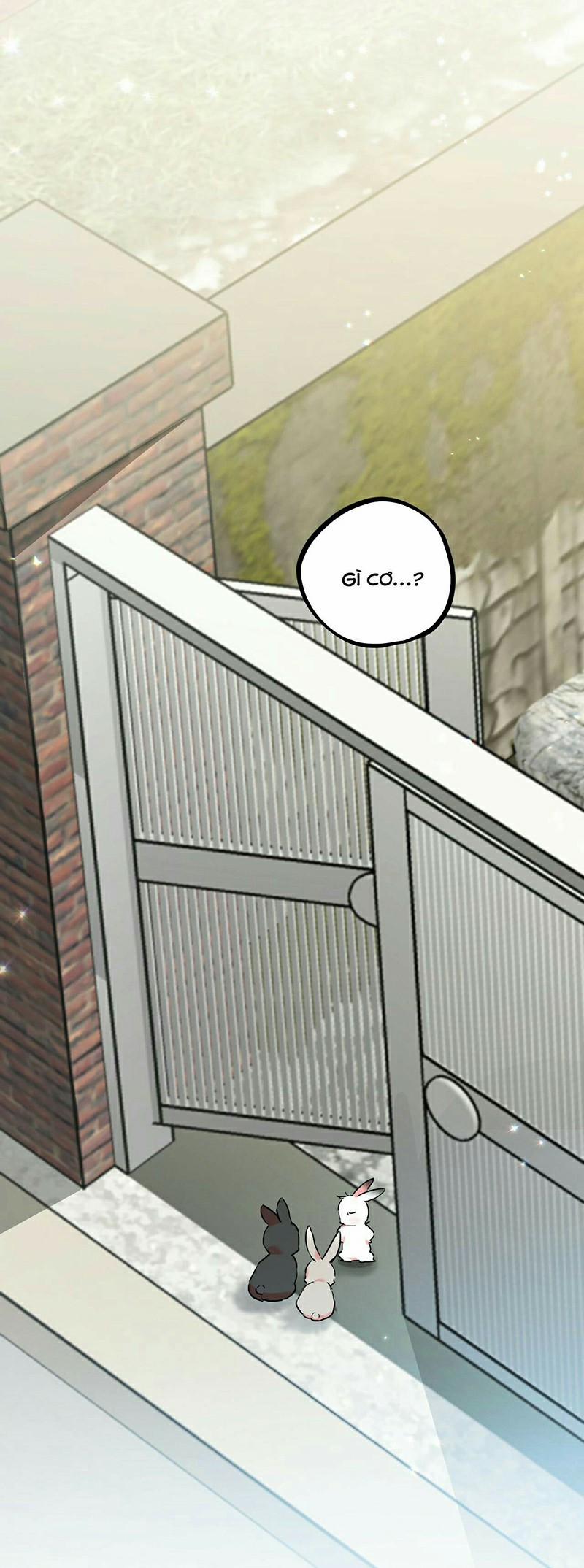 Những Chú Thỏ Của Habibi 3 trang 42