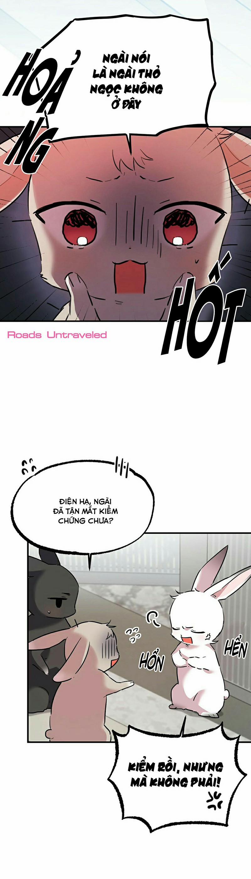 Những Chú Thỏ Của Habibi 3 trang 43