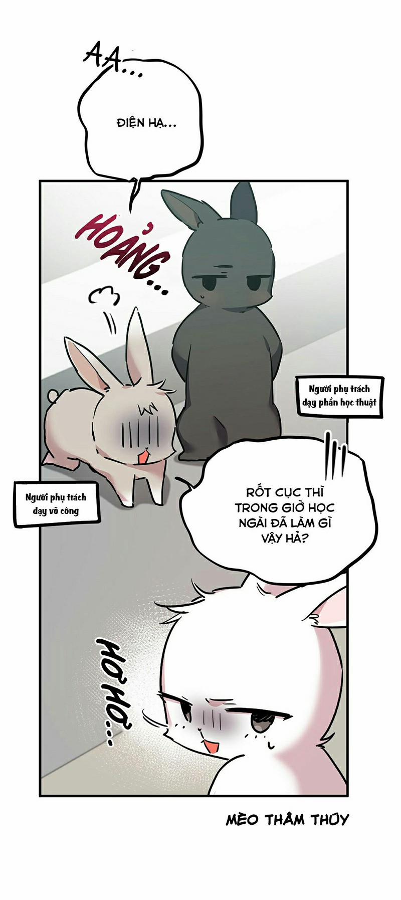 Những Chú Thỏ Của Habibi 3 trang 46