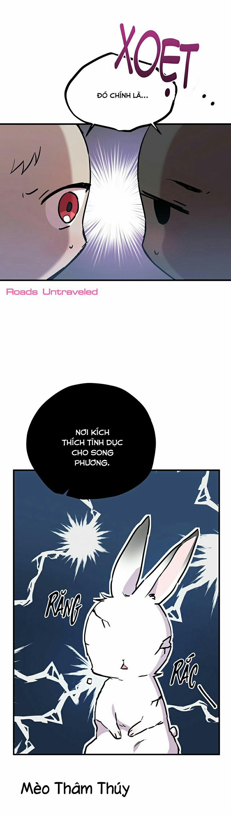 Những Chú Thỏ Của Habibi 3 trang 50