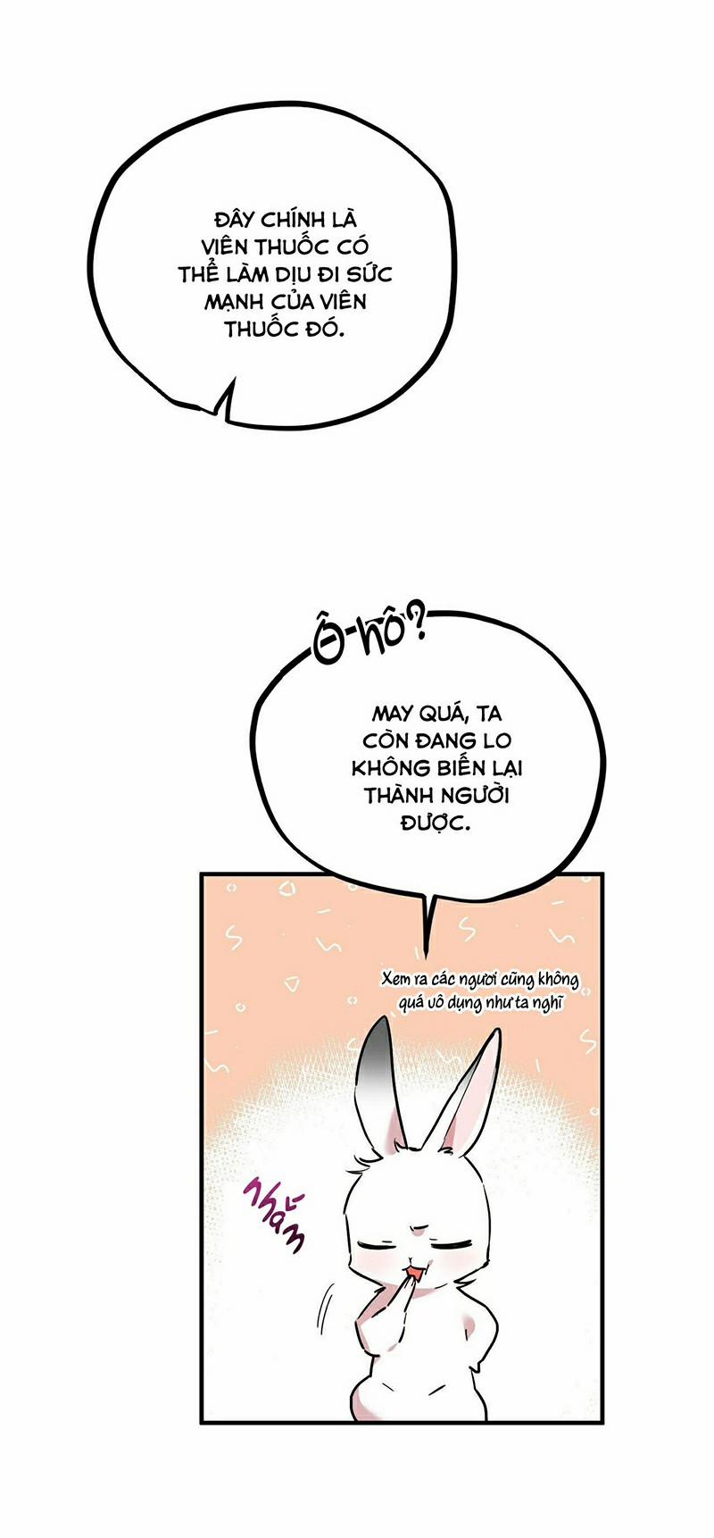 Những Chú Thỏ Của Habibi 3 trang 53