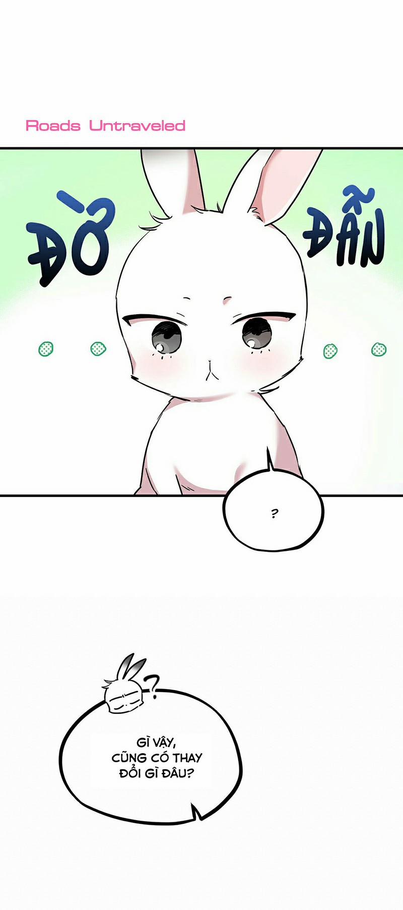 Những Chú Thỏ Của Habibi 3 trang 54