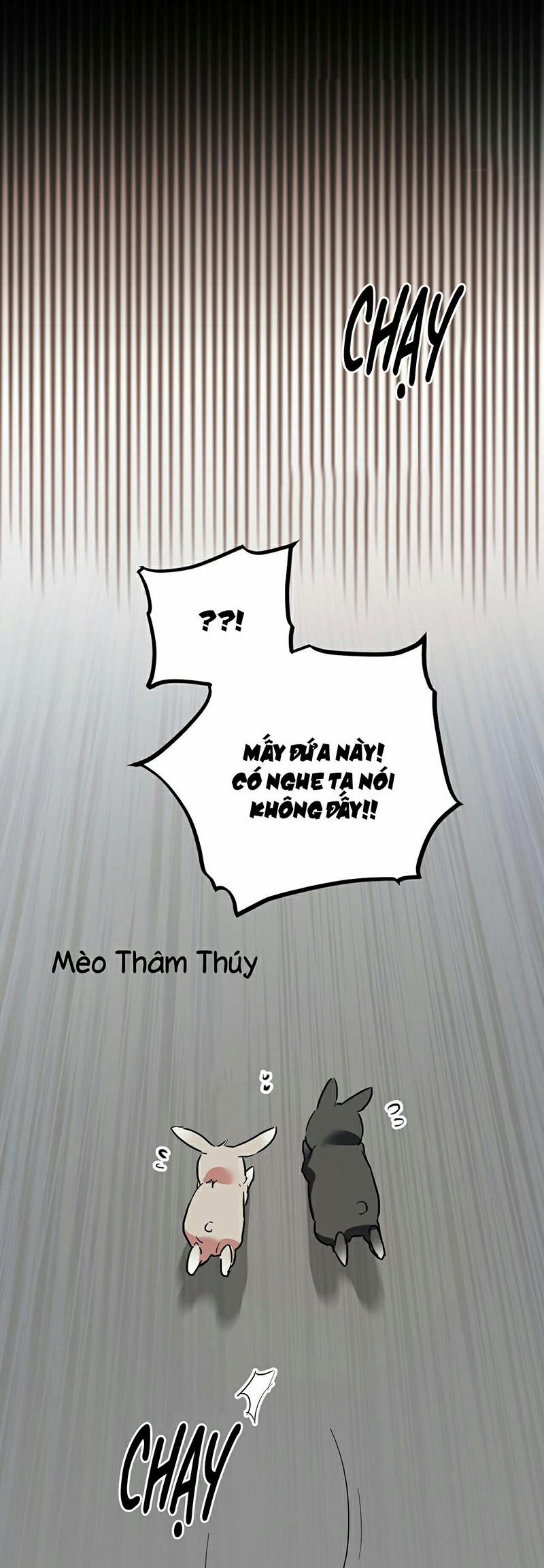 Những Chú Thỏ Của Habibi 3 trang 57