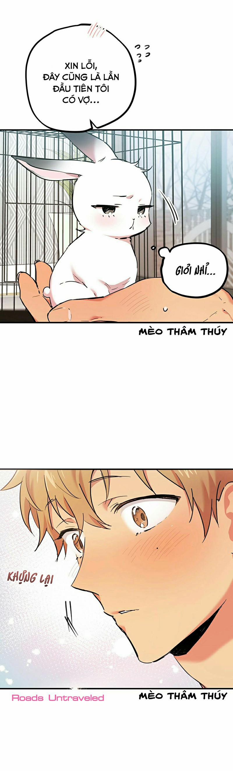 Những Chú Thỏ Của Habibi 3 trang 6