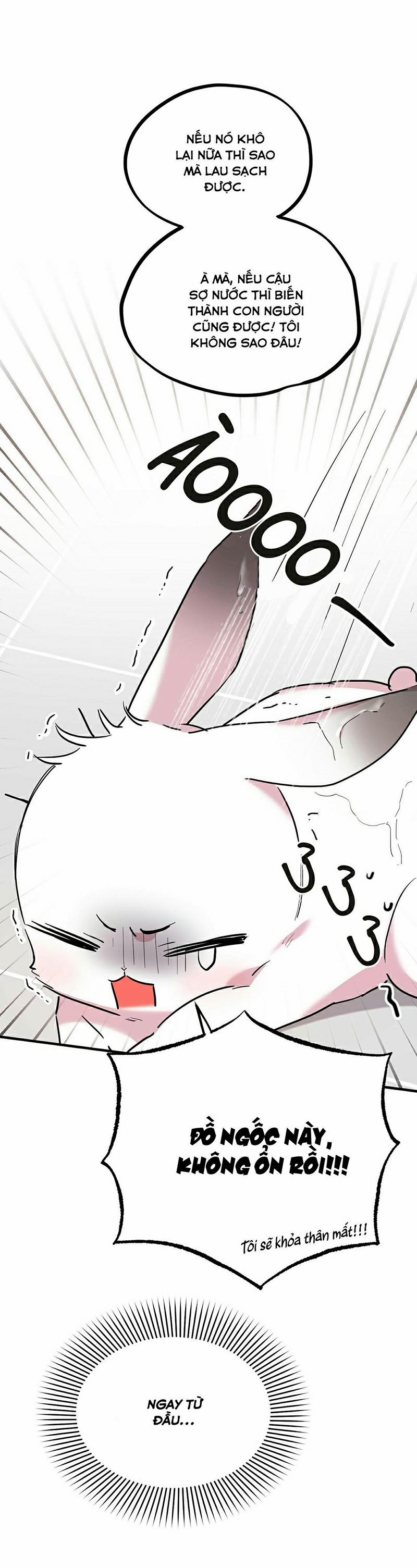 Những Chú Thỏ Của Habibi 3 trang 67