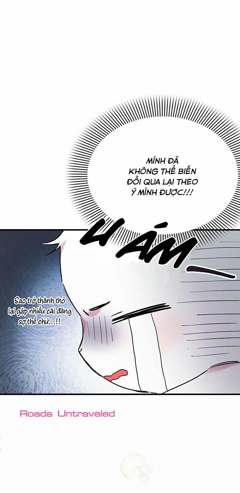 Những Chú Thỏ Của Habibi 3 trang 68