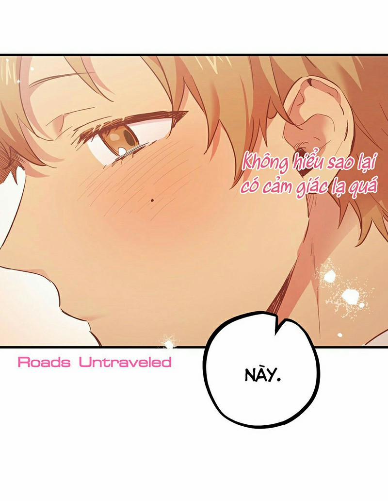 Những Chú Thỏ Của Habibi 3 trang 8