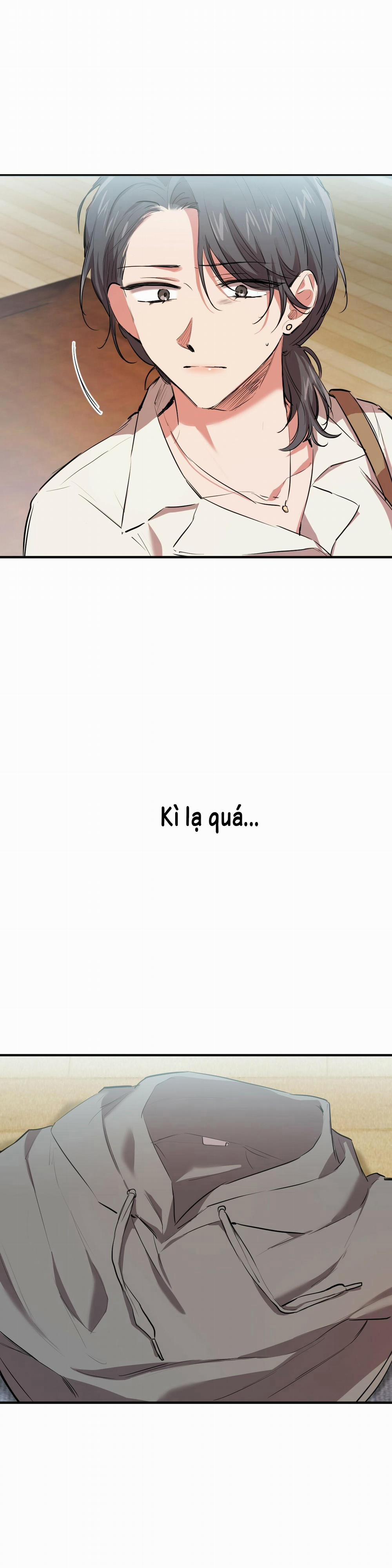 Những Chú Thỏ Của Habibi 30 trang 0